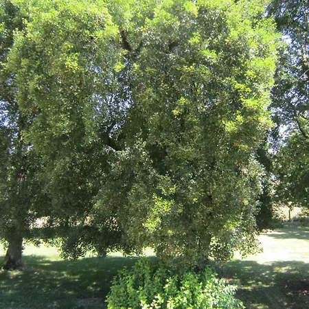 Le Clos De La Garenne 3* Puyravault (Charente-Maritime)