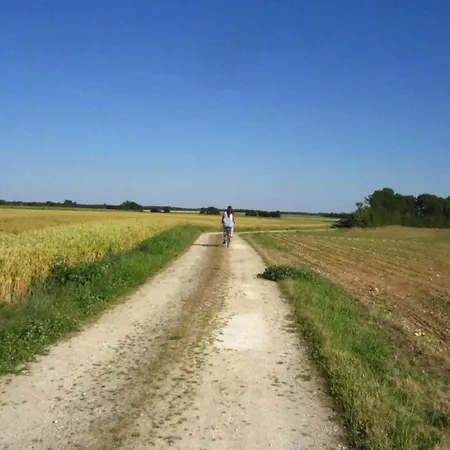 Le Clos De La Garenne Bed and breakfast Puyravault (Charente-Maritime)
