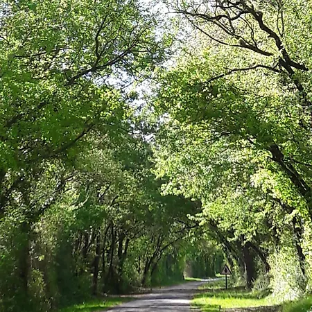 Couette-café Le Clos De La Garenne Puyravault (Charente-Maritime)