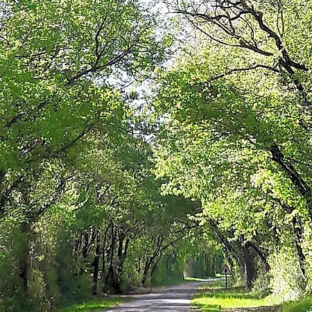Le Clos De La Garenne Nocleg ze śniadaniem 3*