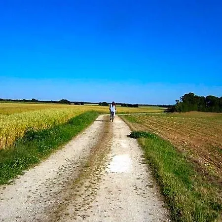 Nocleg ze śniadaniem Le Clos De La Garenne Puyravault (Charente-Maritime)