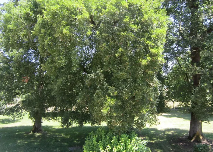 Le Clos De La Garenne 3* Puyravault (Charente-Maritime)