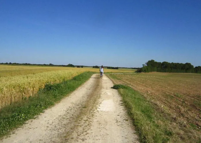 Le Clos De La Garenne Bed and breakfast Puyravault (Charente-Maritime)