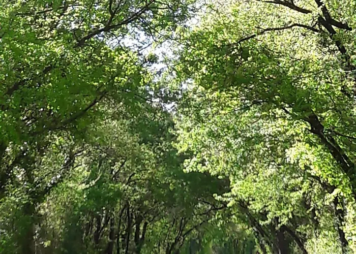 Bed and breakfast Le Clos De La Garenne Puyravault (Charente-Maritime)